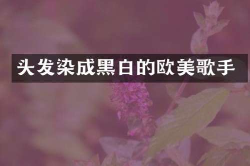 头发染成黑白的欧美歌手