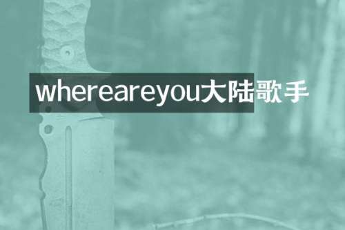 whereareyou大陆歌手
