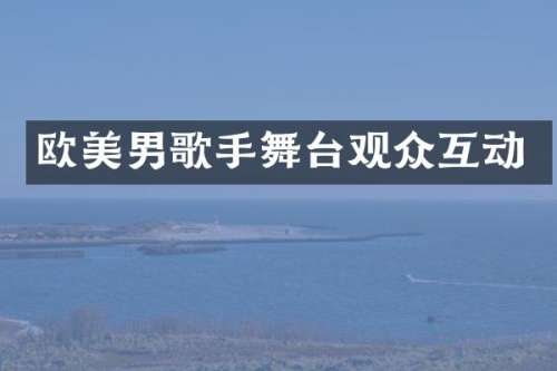 欧美男歌手舞台观众互动