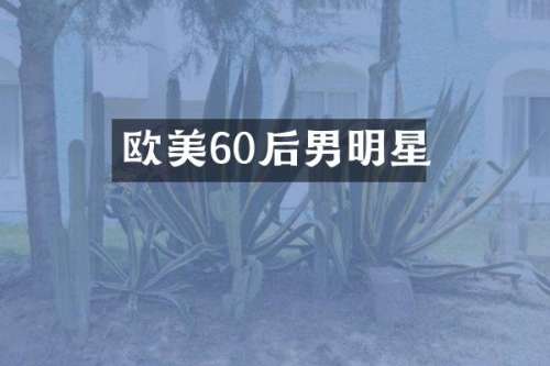 欧美60后男明星