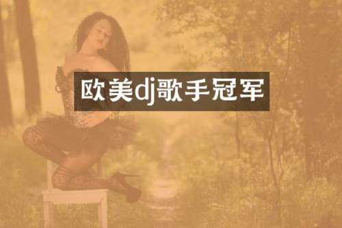 欧美dj歌手冠军