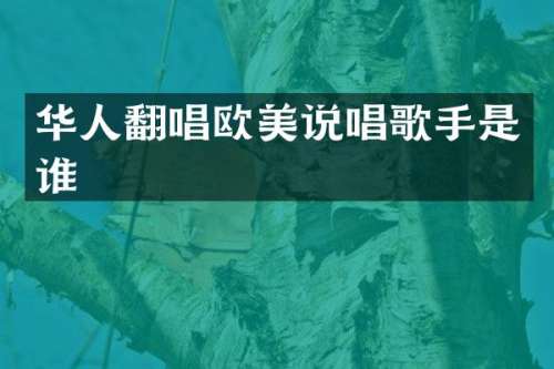 华人翻唱欧美说唱歌手是谁