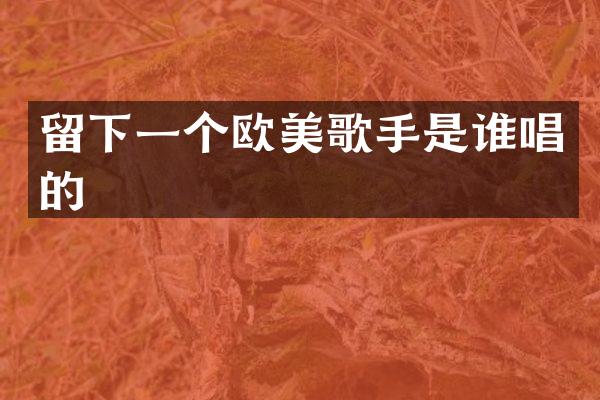 留下一个欧美歌手是谁唱的