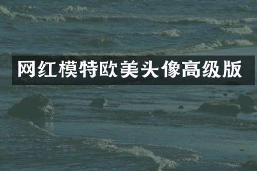 网红模特欧美头像高级版