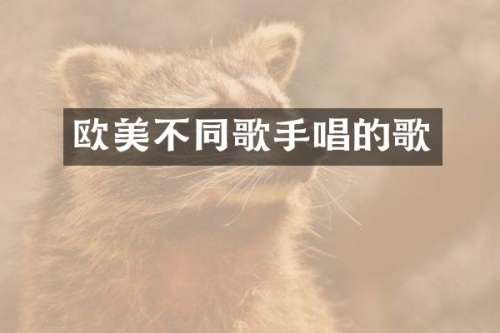 欧美不同歌手唱的歌