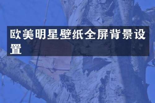 欧美明星壁纸全屏背景设置