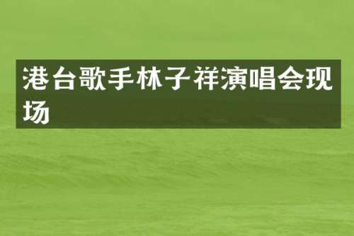 港台歌手林子祥演唱会现场