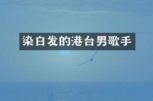 染白发的港台男歌手