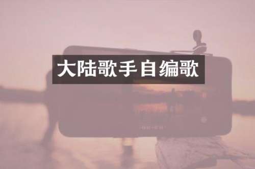大陆歌手自编歌