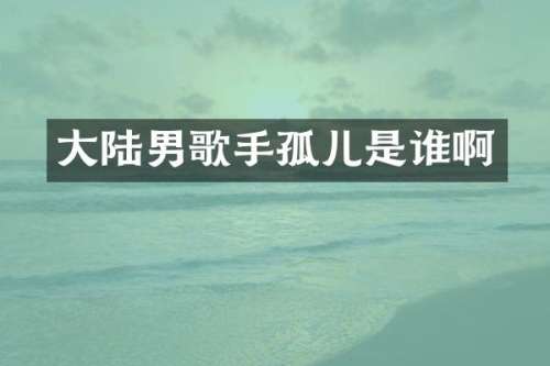 大陆男歌手孤儿是谁啊