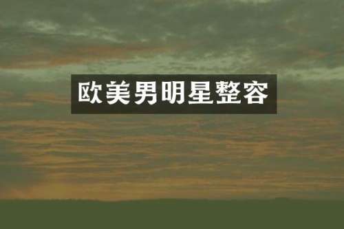 欧美男明星整容