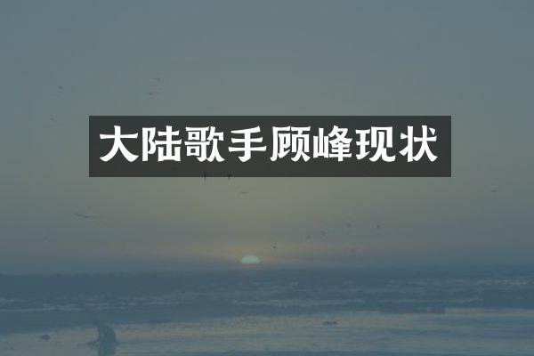 大陆歌手顾峰现状