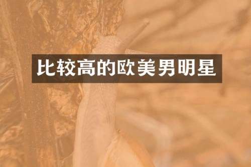 比较高的欧美男明星