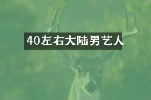 40左右大陆男艺人
