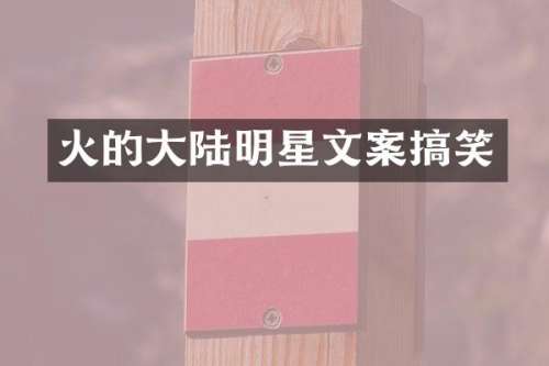 火的大陆明星文案搞笑