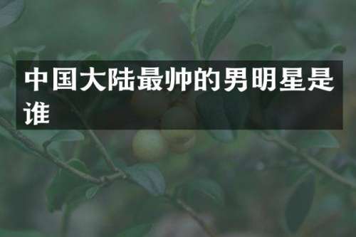中国大陆最帅的男明星是谁