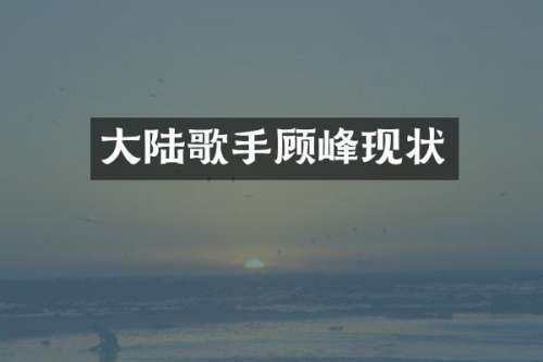 大陆歌手顾峰现状