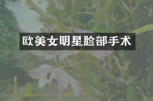 欧明星脸部手术