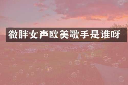 微胖女声欧美歌手是谁呀