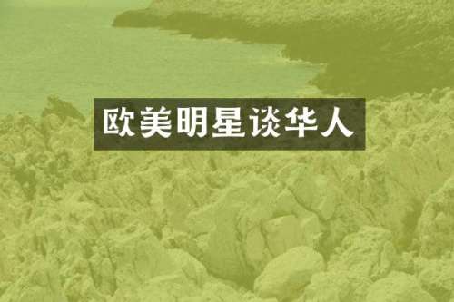 欧美明星谈华人
