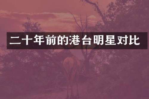 二十年前的港台明星对比