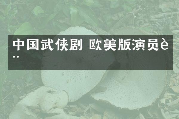 中国武侠剧 欧美版演员表