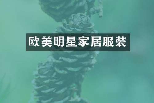 欧美明星家居服装