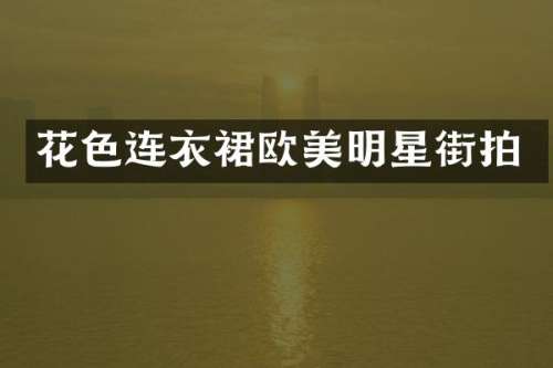 花色连衣裙欧美明星街拍