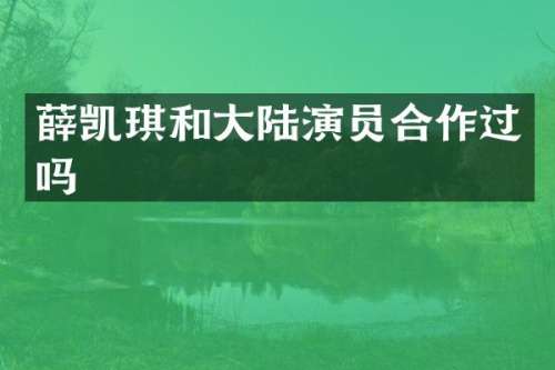 薛凯琪和大陆演员合作过吗