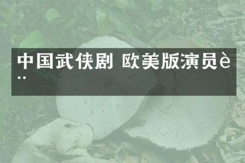 中国武侠剧 欧美版演员表