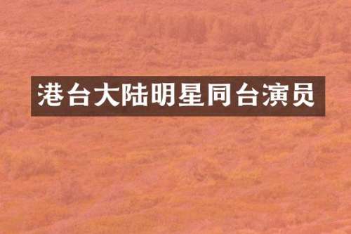 港台大陆明星同台演员