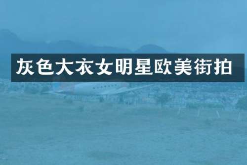 灰色大衣女明星欧美街拍