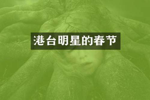 港台明星的春节
