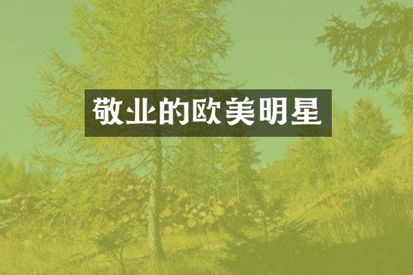 敬业的欧美明星