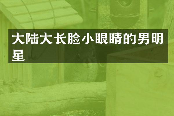 大陆大长脸小眼睛的男明星