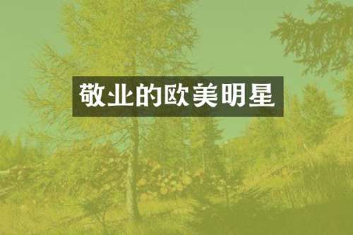 敬业的欧美明星