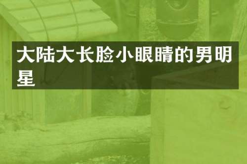 大陆大长脸小眼睛的男明星