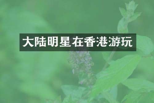 大陆明星在香港游玩