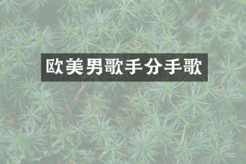 欧美男歌手分手歌