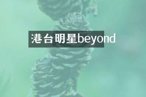 港台明星beyond
