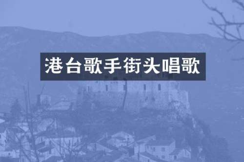 港台歌手街头唱歌