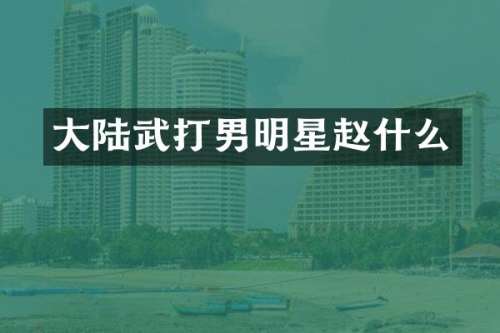 大陆武打男明星赵什么