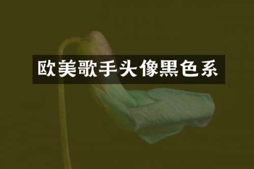 欧美歌手头像黑色系