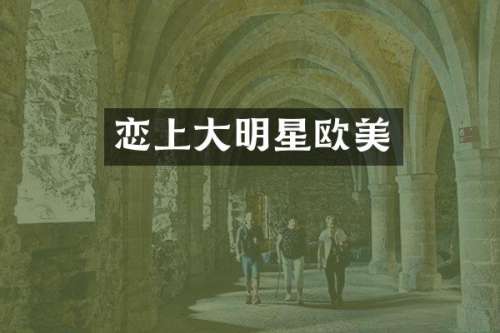 恋上大明星欧美