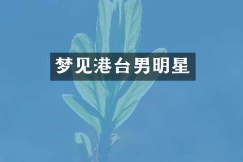 梦见港台男明星