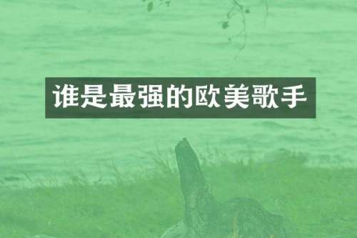 谁是最强的欧美歌手