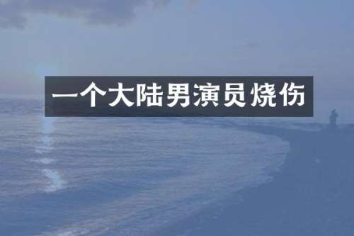一个大陆男演员烧伤