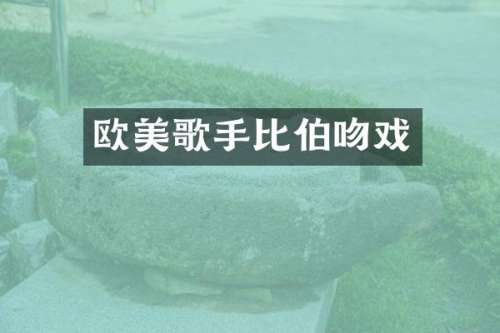欧美歌手比伯