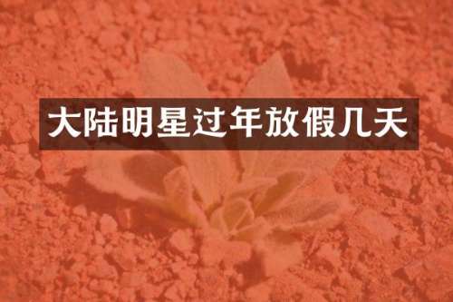 大陆明星过年放假几天