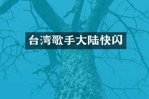 台湾歌手大陆快闪